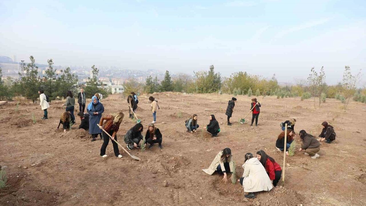 Kadına Yönelik Şiddetle Mücadele İçin Fidan Dikimi Yapıldı
