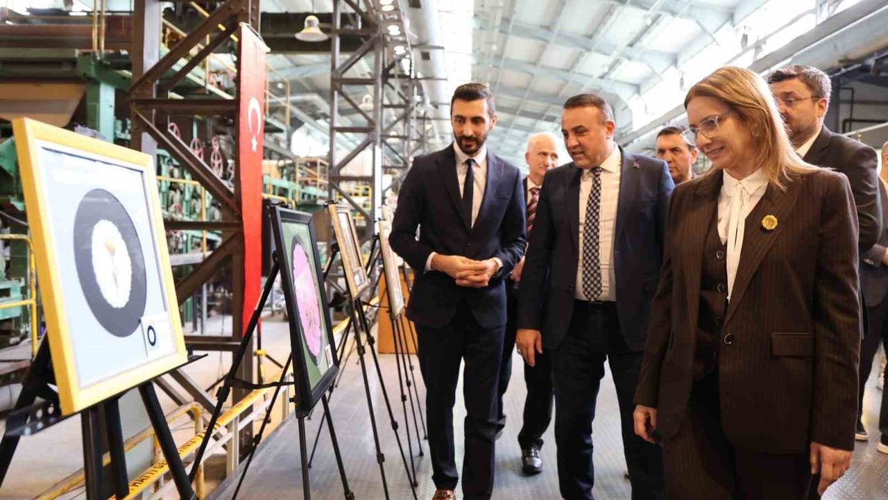 Kağıtta Açan Çiçekler Sergisi Kocaeli'de Sanatseverlerle Buluştu