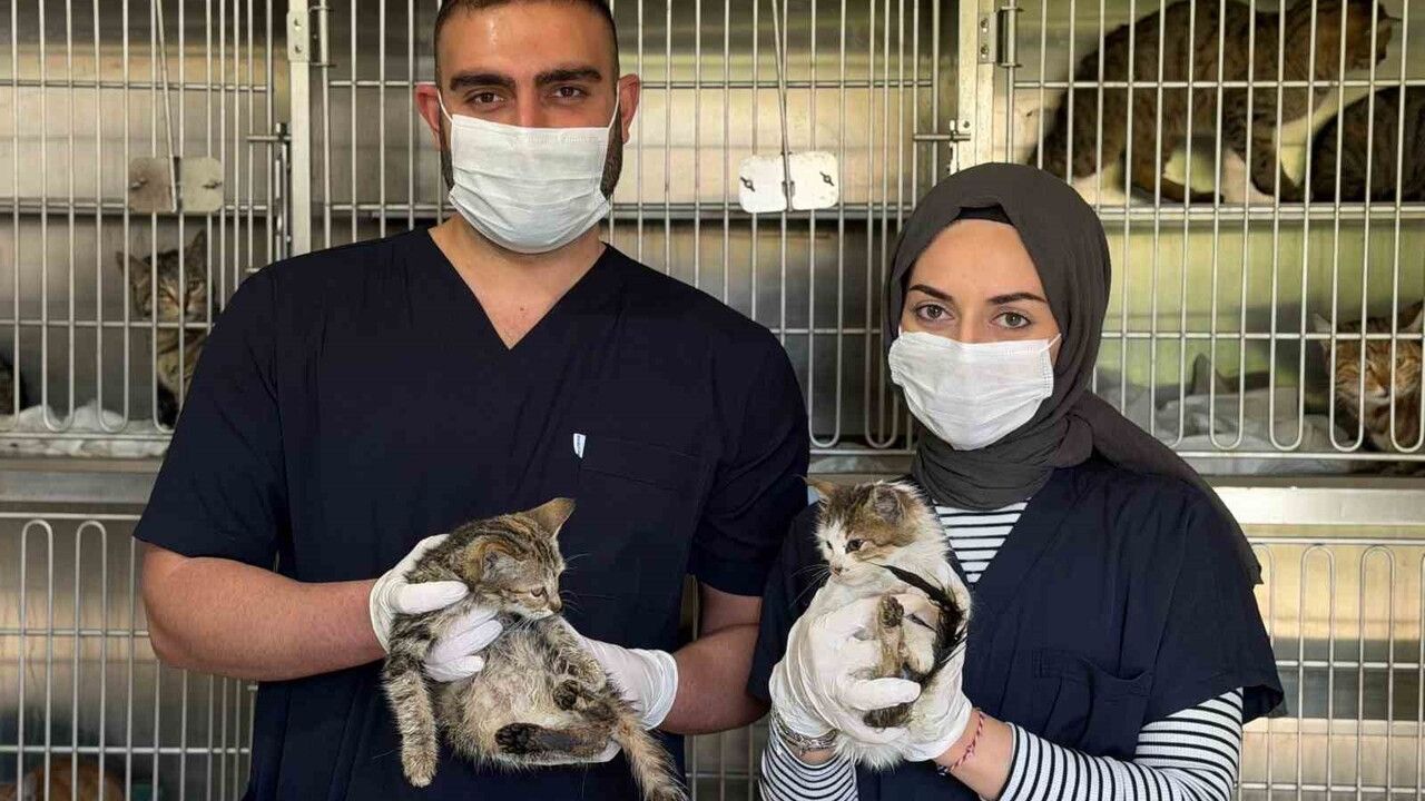 Karabük'te Kış Hazırlıkları Tamamlandı