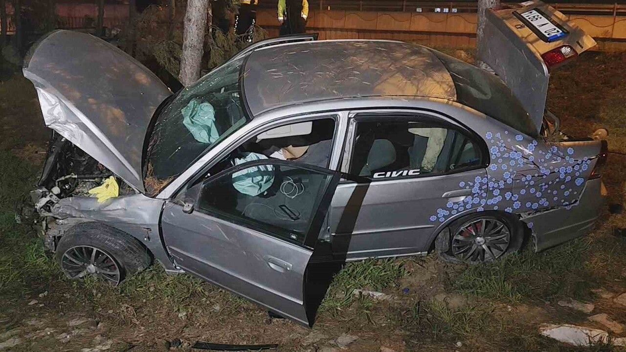 Karabük'te Kontrolden Çıkan Otomobil Direk ve Ağaçlara Çarptı