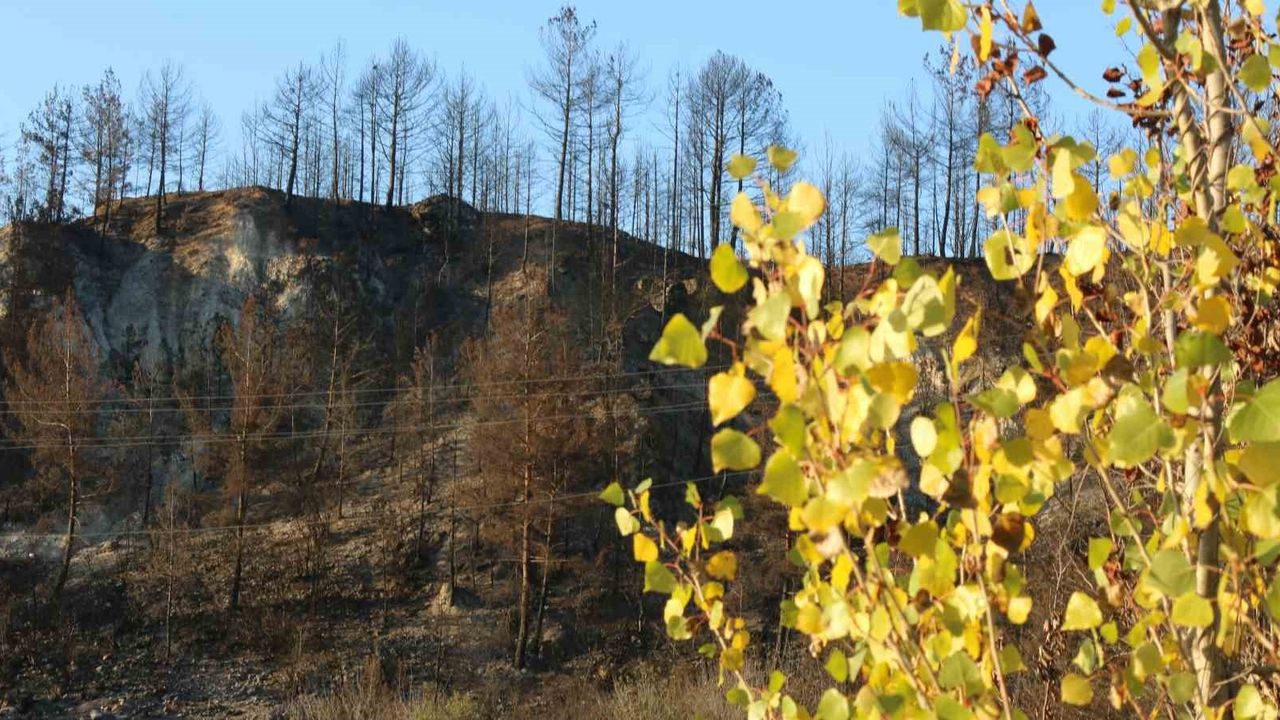 Karabük'te Sonbahar Renkleri ve Yangın Kontrastı