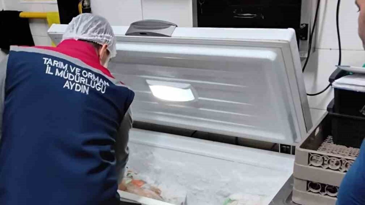 Karacasu'da Gıda Güvenliği Denetimleri Artırıldı