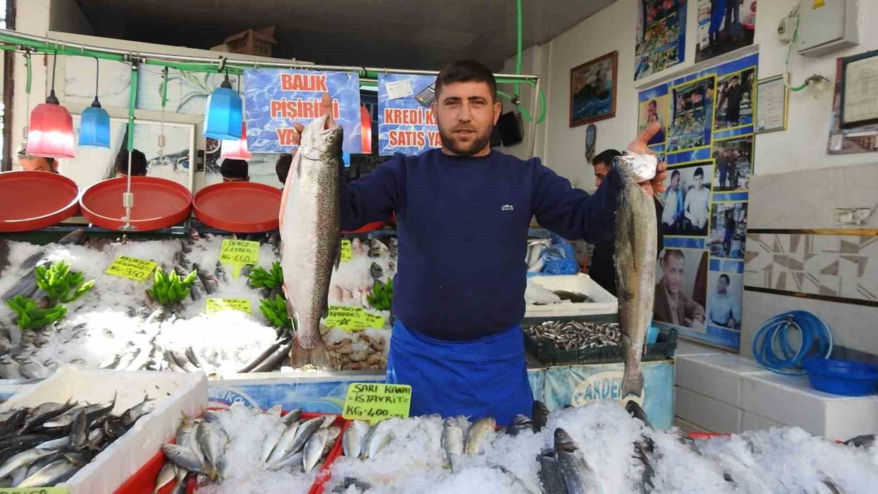 Karadeniz Bereketi Kilis'te Balık Fiyatlarını Düşürdü