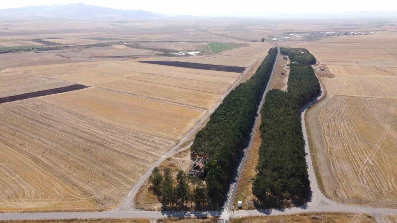 Kars'ın Bozkır Vahası: Benliahmet Tren İstasyonu