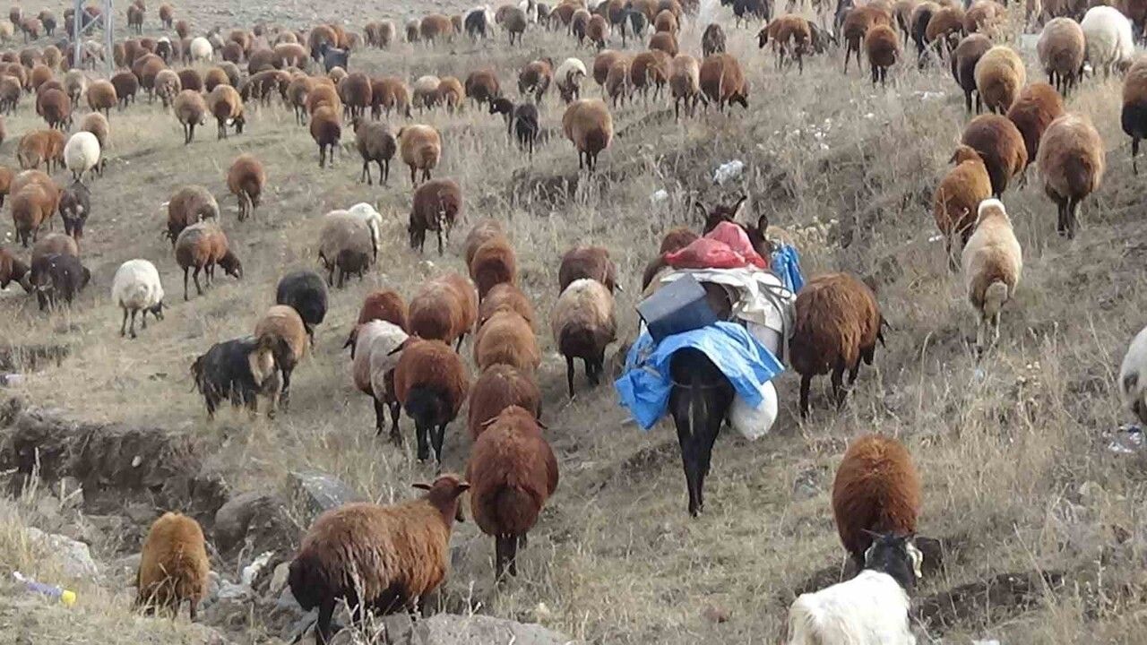 Kars'ta Göçebelerin Zorlu Dönüş Yolculuğu Başladı