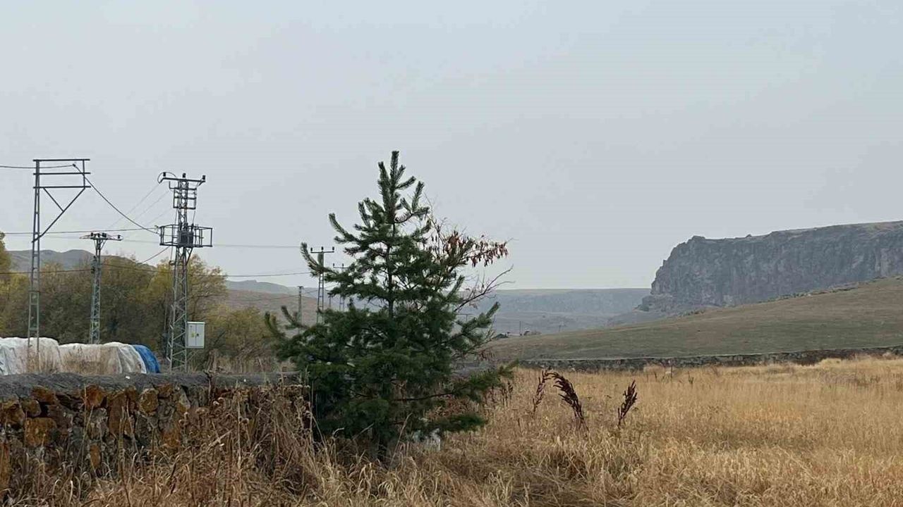 Kars’tan Örnek Ağaçlandırma Projesi