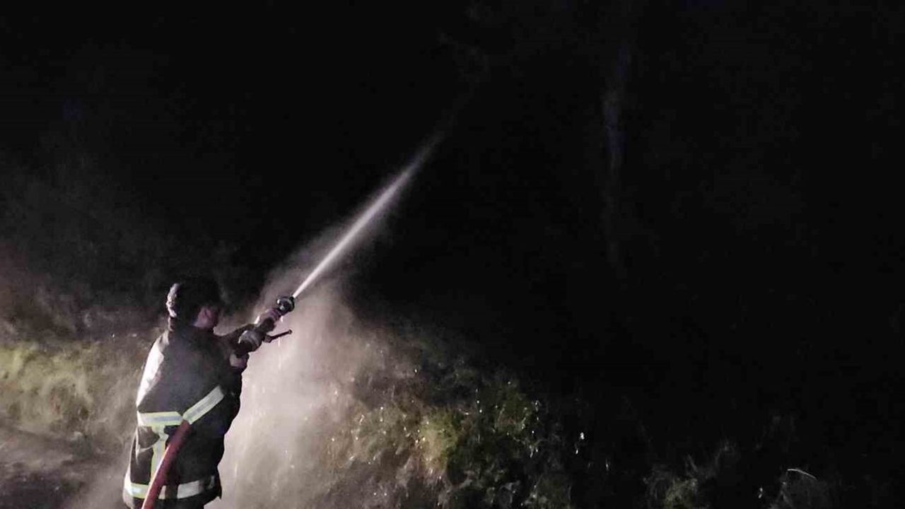 Kastamonu Cide'de Orman Yangını Kontrol Altına Alındı