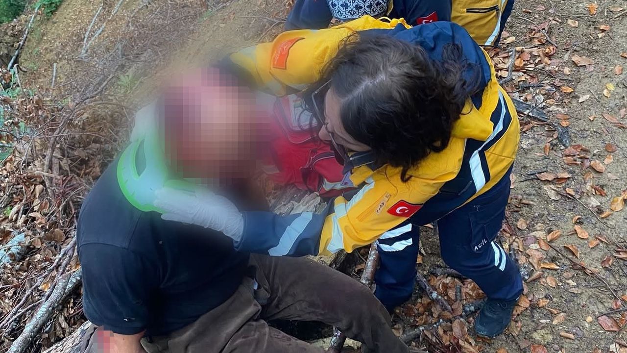Kastamonu'da Ayı Saldırısında Yaralanan Vatandaşa Ekiplerden Müdahale