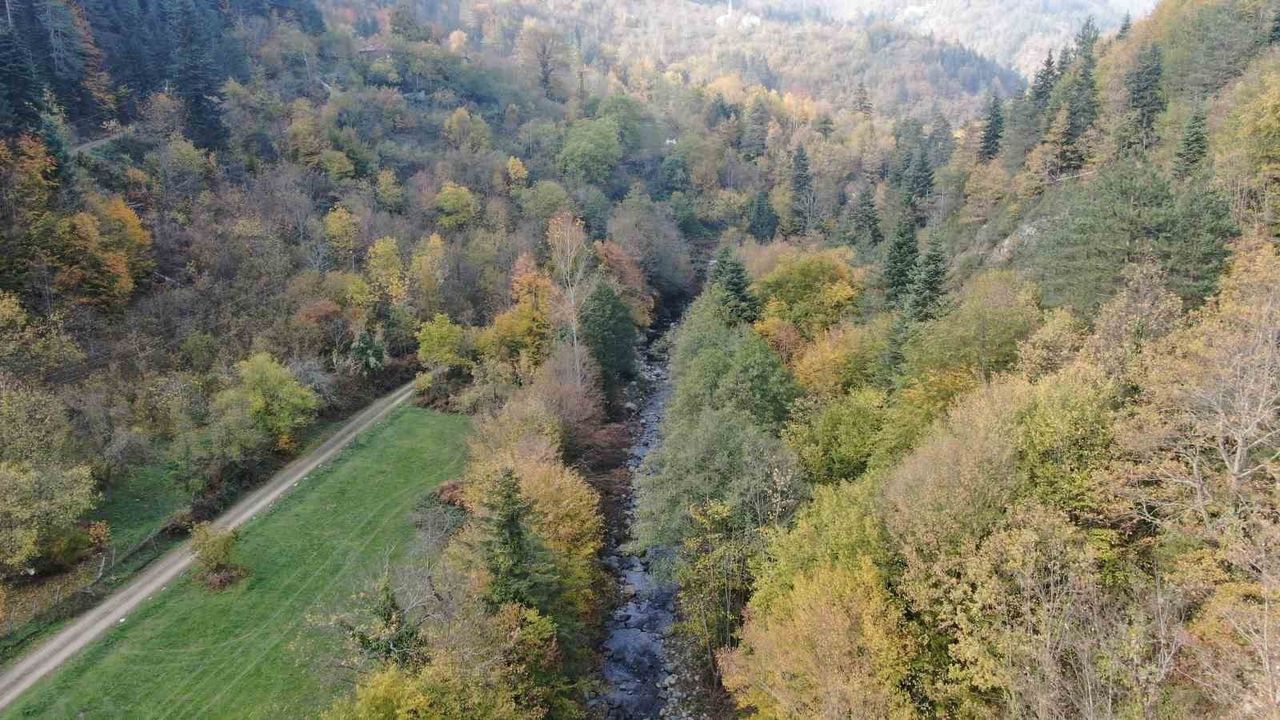 Kastamonu'da Kayıp Anne ve Oğul İçin Arama Çalışmaları Devam Ediyor