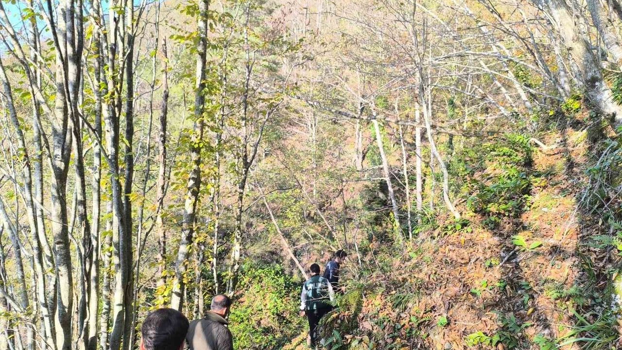 Kastamonu'da Trajik İkili Kaybolma Olayı