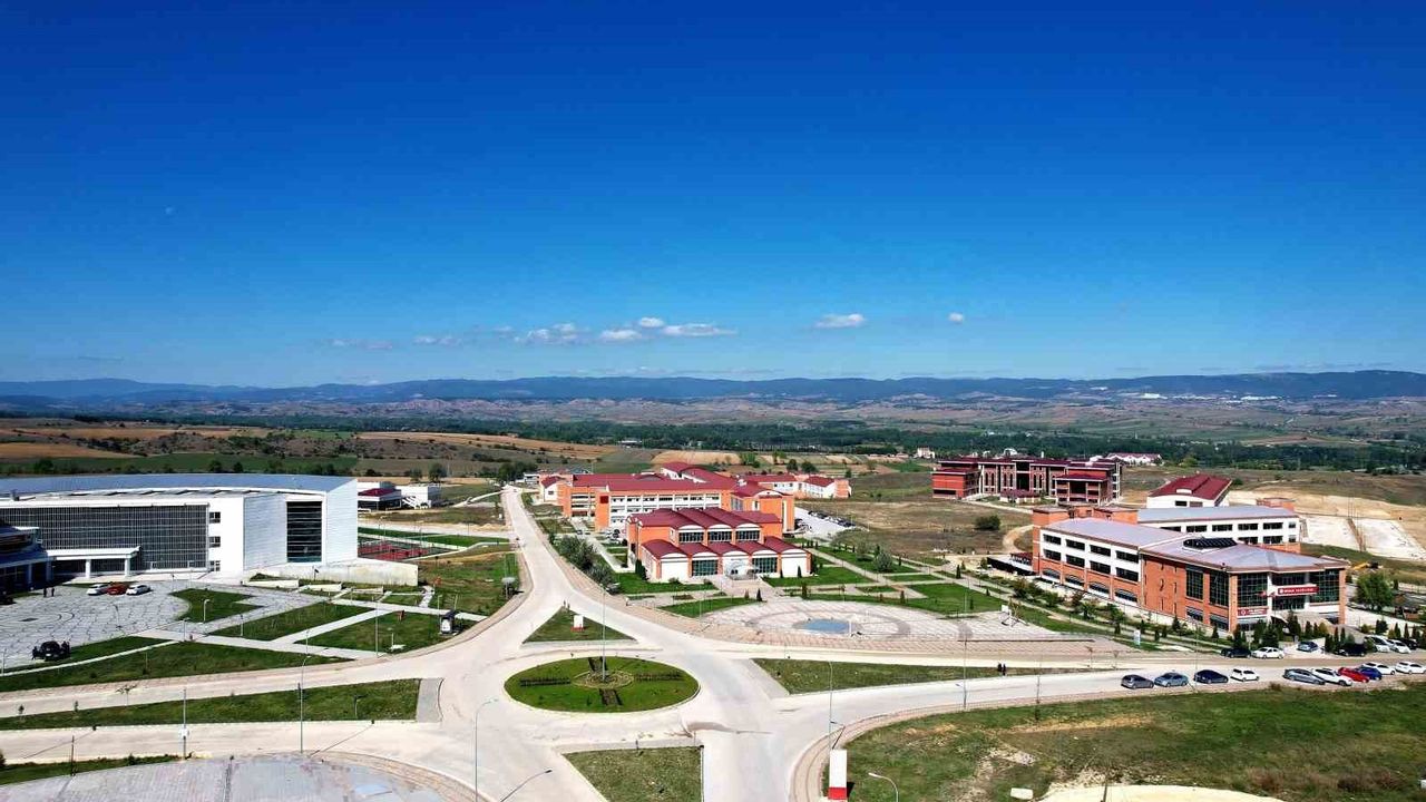 Kastamonu Üniversitesi Kenelerle Bulaşan Hastalıkları Araştırıyor