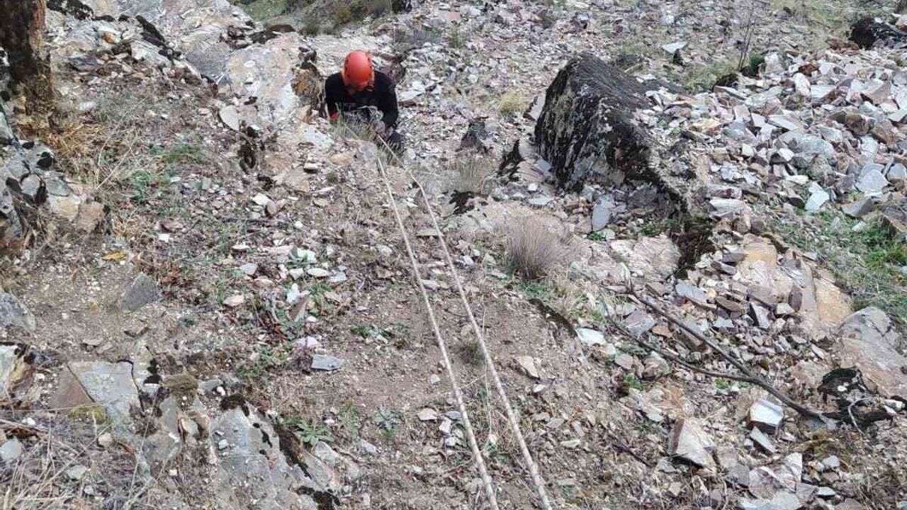 Kayalıklarda Mahsur Kalan Keçiler Kurtarıldı