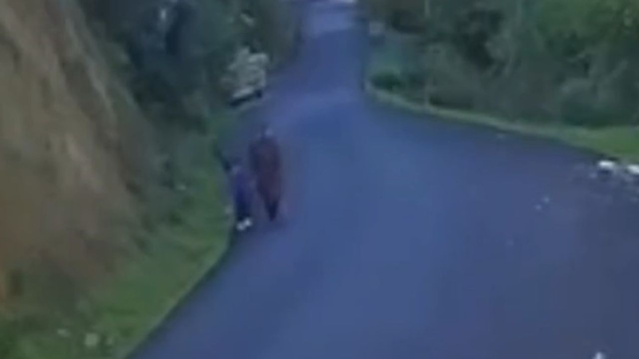 Kayıp Anne ve Oğluna Dair Yeni Görüntüler Elde Edildi