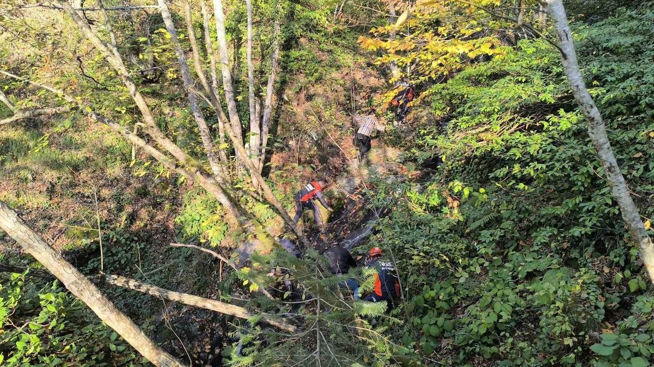 Kayıp Annenin Cesedi Kuzgunların Takibiyle Bulundu