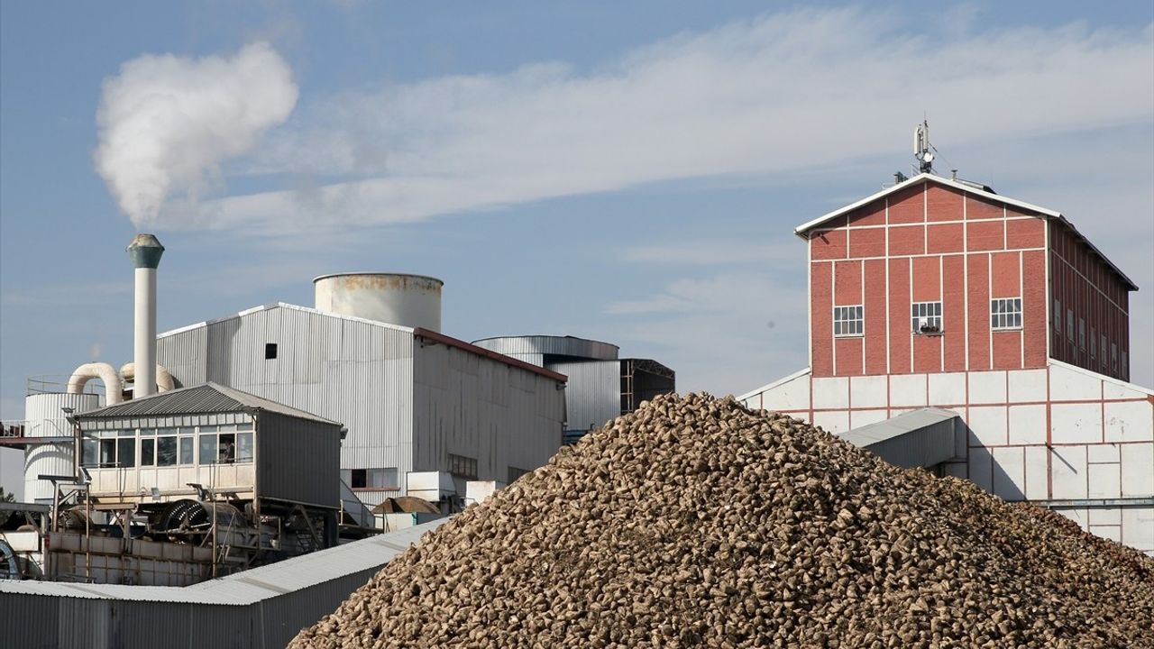 Kayseri Şeker Sezon Hedeflerini Açıkladı