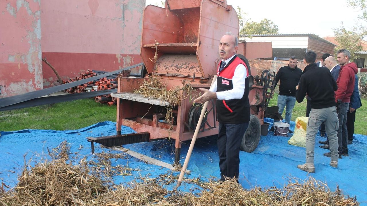 Kazak Fasulyesi Hasat Festivali Gerçekleşti