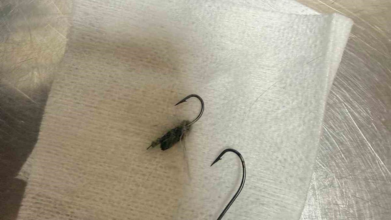 Kedinin Olta Kancasına Takılması: Çanakkale'de Yardımseverler Devreye Girdi