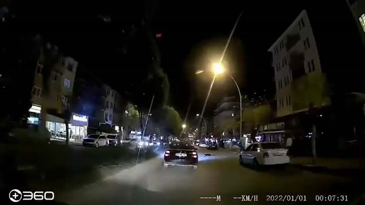 Kedinin Trajik Kazası: Otomobil Altında Kaldı