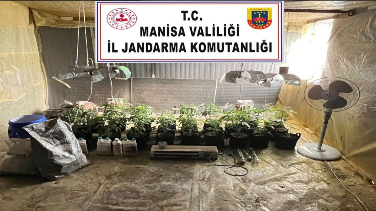 Kenevir Yetiştiricisine Jandarmadan Operasyon