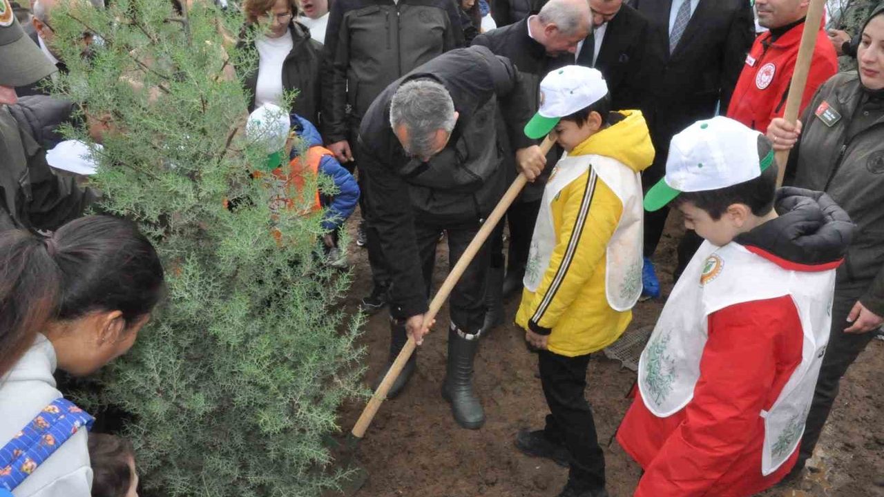 Keşan'da Yangından Zarar Gören Alana 2 Bin Çam Fidanı Dikildi