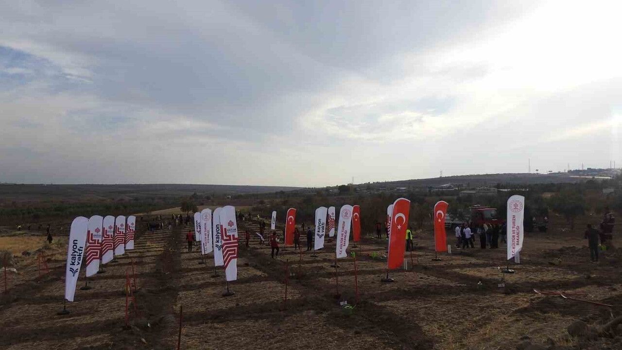 Kilis'te 10 Bin Fidan Toprakla Buluştu