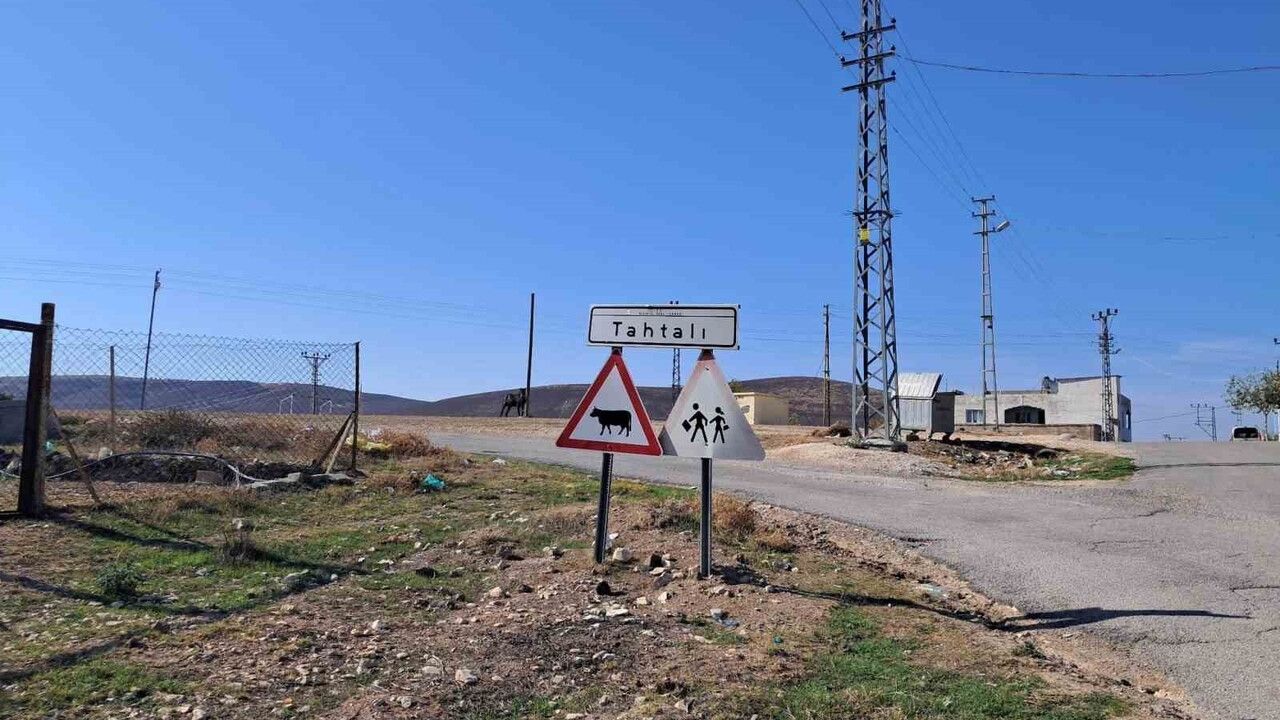 Kilis'te Kurt Saldırısı: 3 Küçükbaş Hayvan Telef Oldu