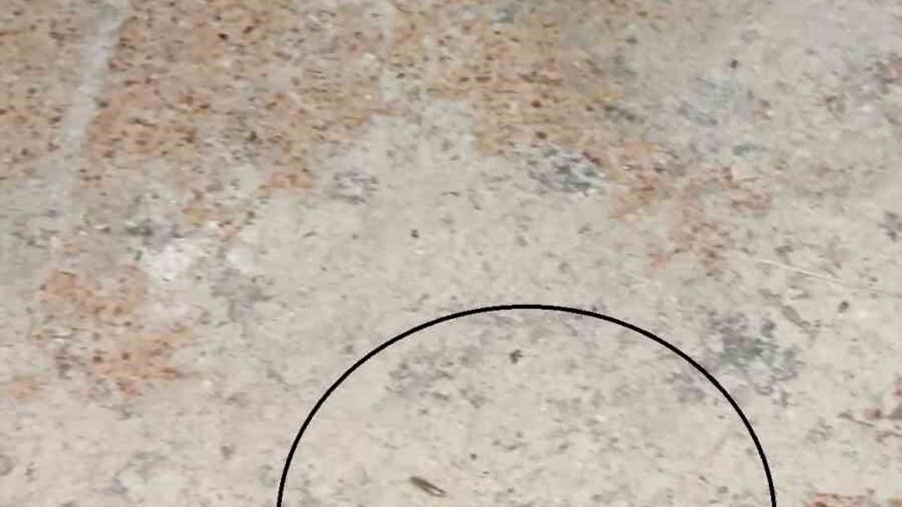 Kırıkhan'da Fırın Denetiminde Şok Görüntüler