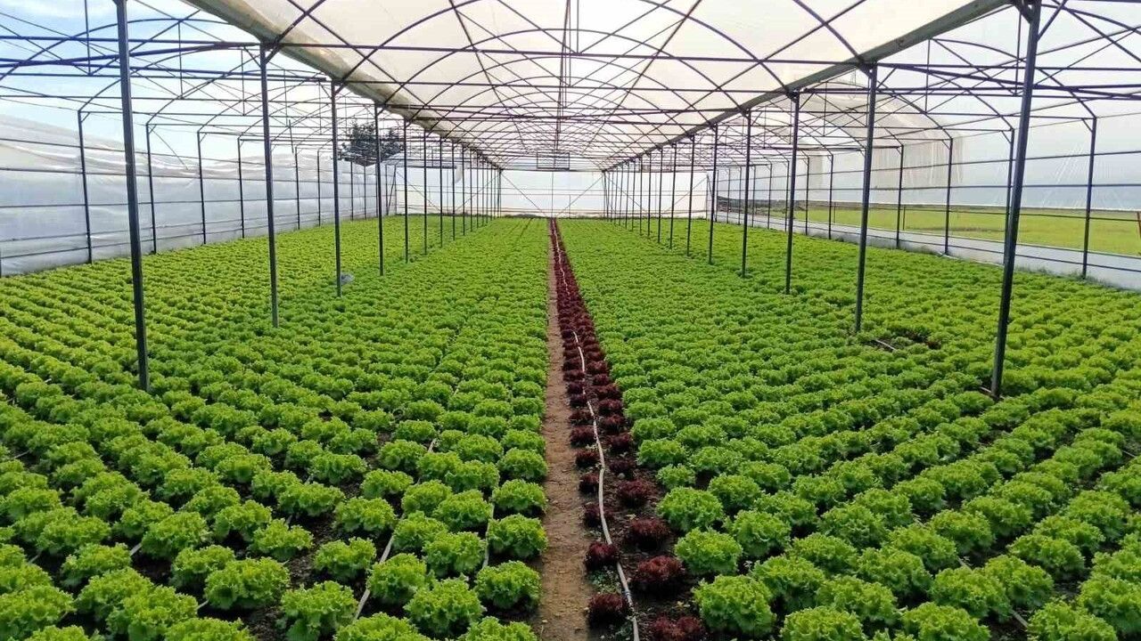 Kırklareli'nde Sera Denetimleri Başladı