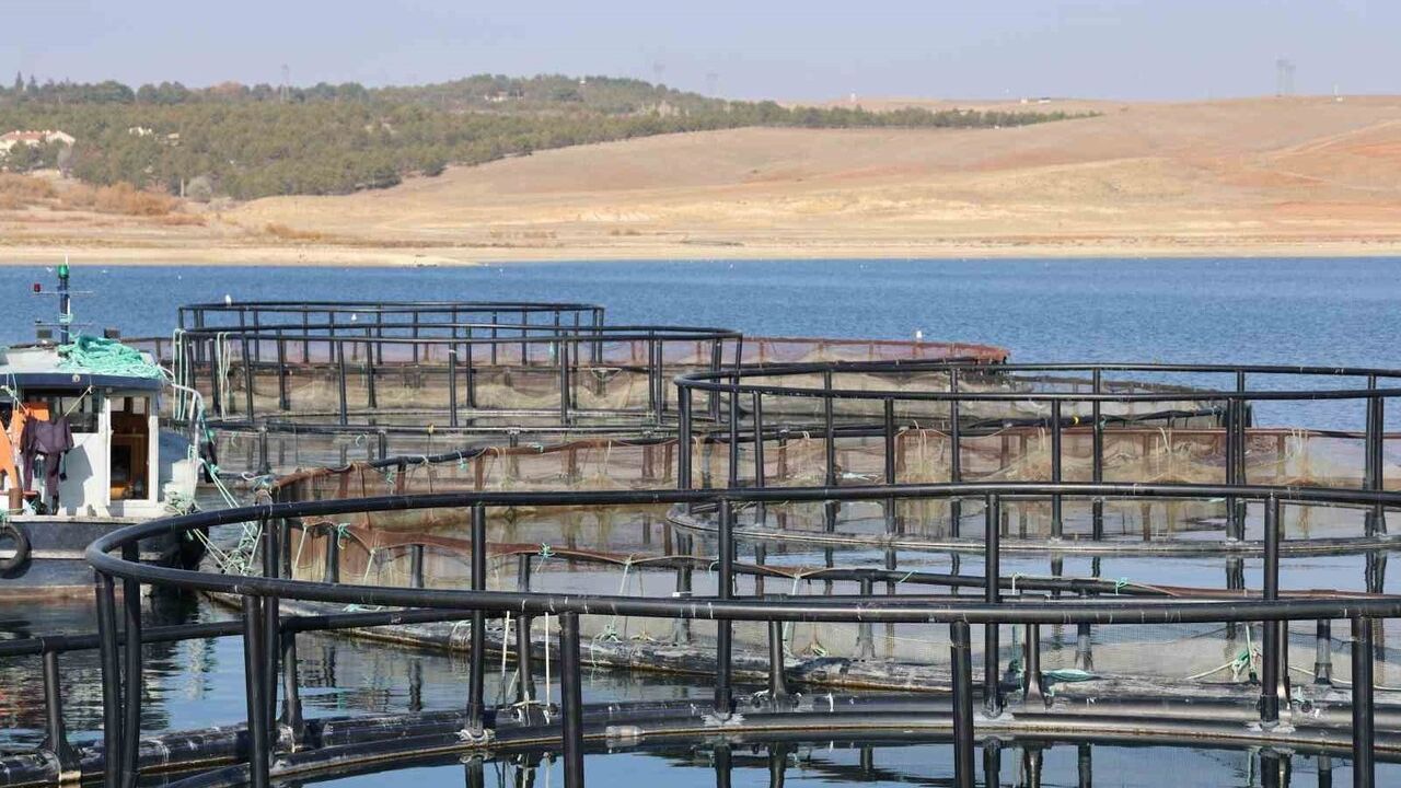 Kırşehir'de Türk Somonu Üretiminde Bir Başarı Hikayesi