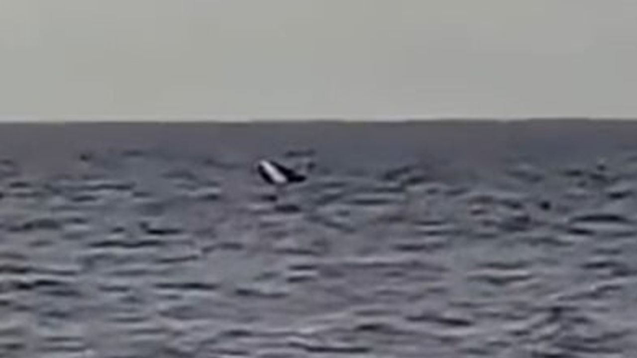 Kocaeli'de Kayık Alabora Oldu: Arama Kurtarma Çalışmaları Devam Ediyor