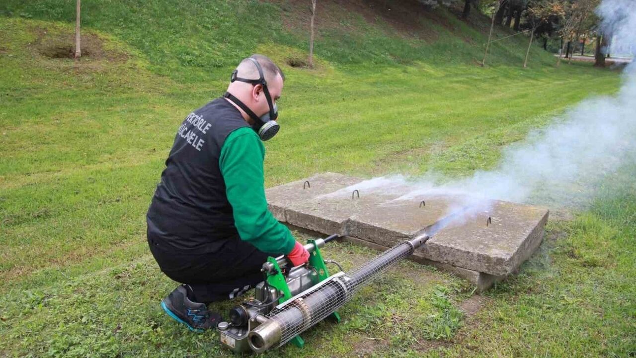 Kocaeli'de Kışlık Sinekle Mücadele Modeli Uygulaması