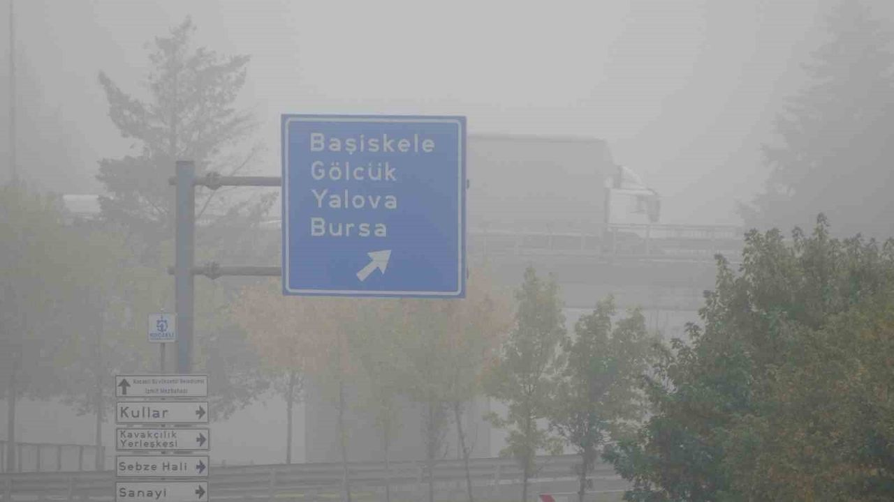 Kocaeli'de Yoğun Sis Sürücülere Zorluk Çıkardı