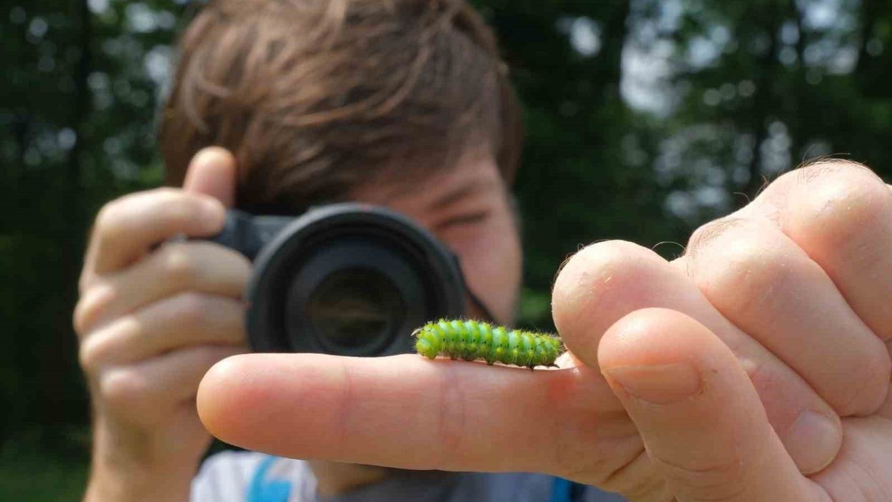 Kocaeli Doğa Turizminde Çarpıcı Rakamlar