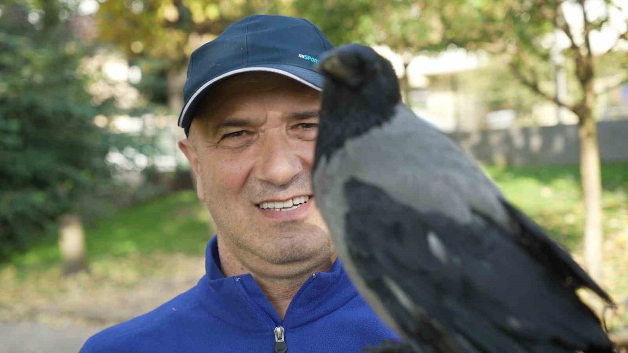 Kocaelili Otobüs Kaptanı ve Kargası 'Şakir' Arasındaki Sımsıkı Dostluk