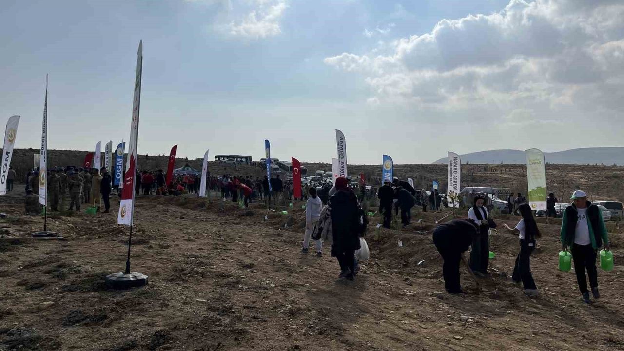 Konya'da 33 Bin 811 Fidan Toprakla Buluştu