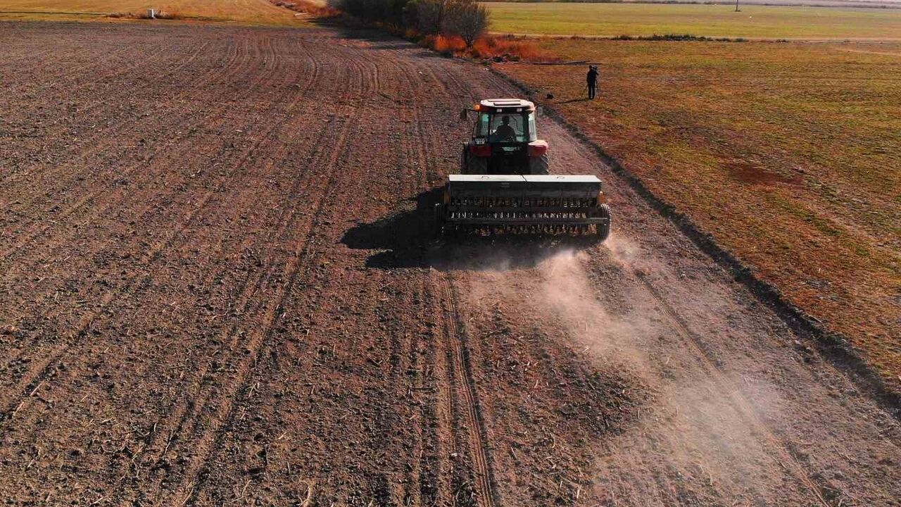 Konya Ovası'nda Yetersiz Yağışlar Hububat Üretimini Tehdit Ediyor