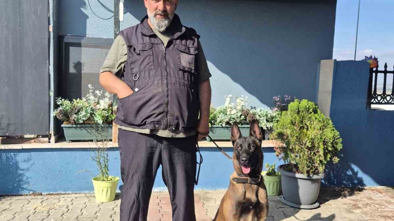 Köpek Eğitmeni Eren Ay'dan Önemli Uyarılar