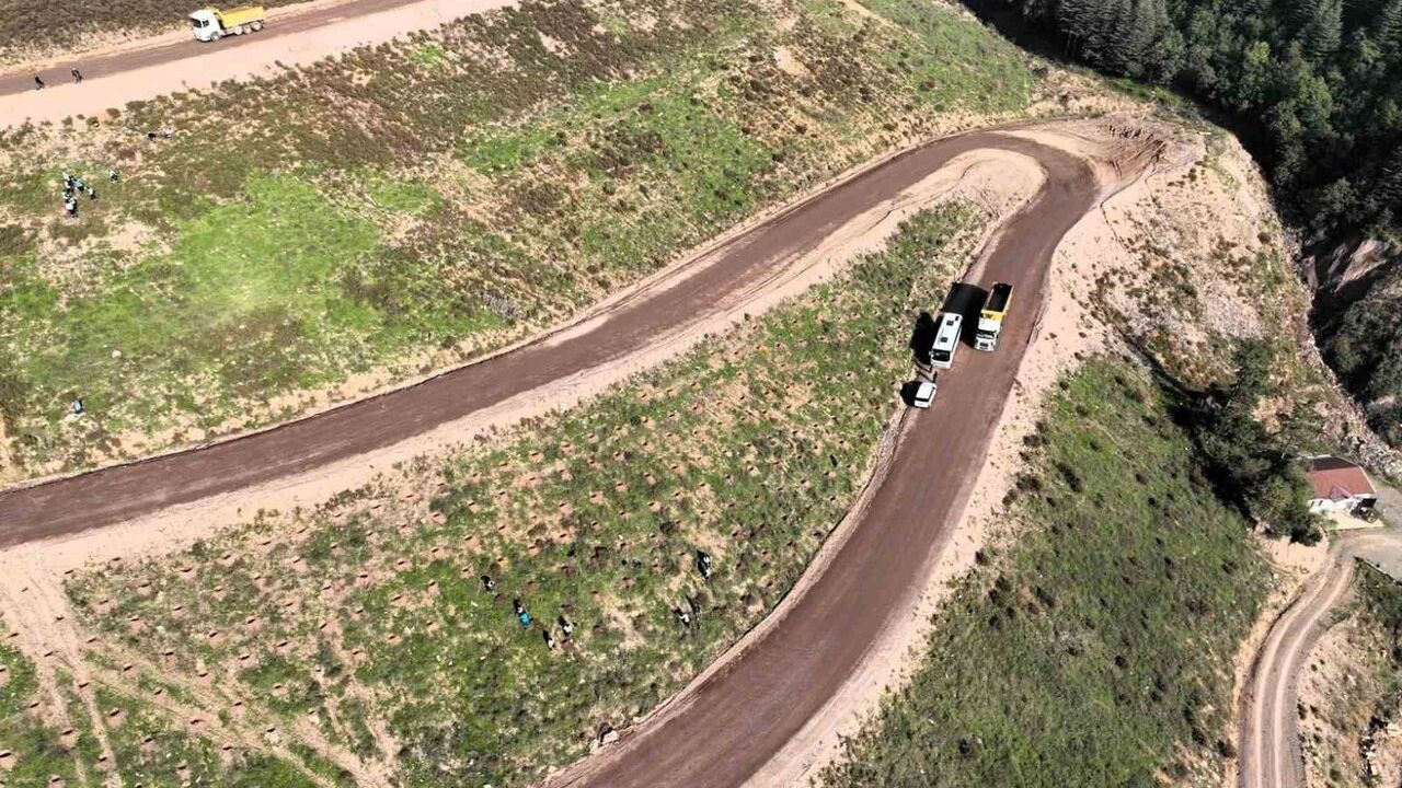Körfez'de Ağaçlandırma Projesi: 3 Bin 300 Toros Sediri