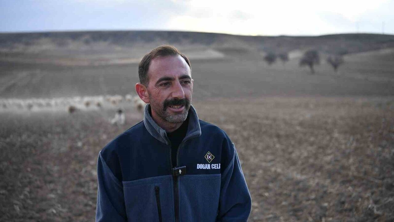 Koyun Sayısında Artış ve Meraların Canlanması: Kayseri'deki Başarı Hikayesi