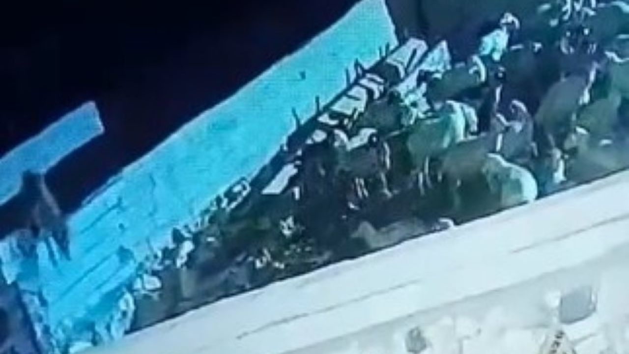 Kurt, Ereğli'deki Ağıla Saldırdı: Anlar Kamerada Yakalandı