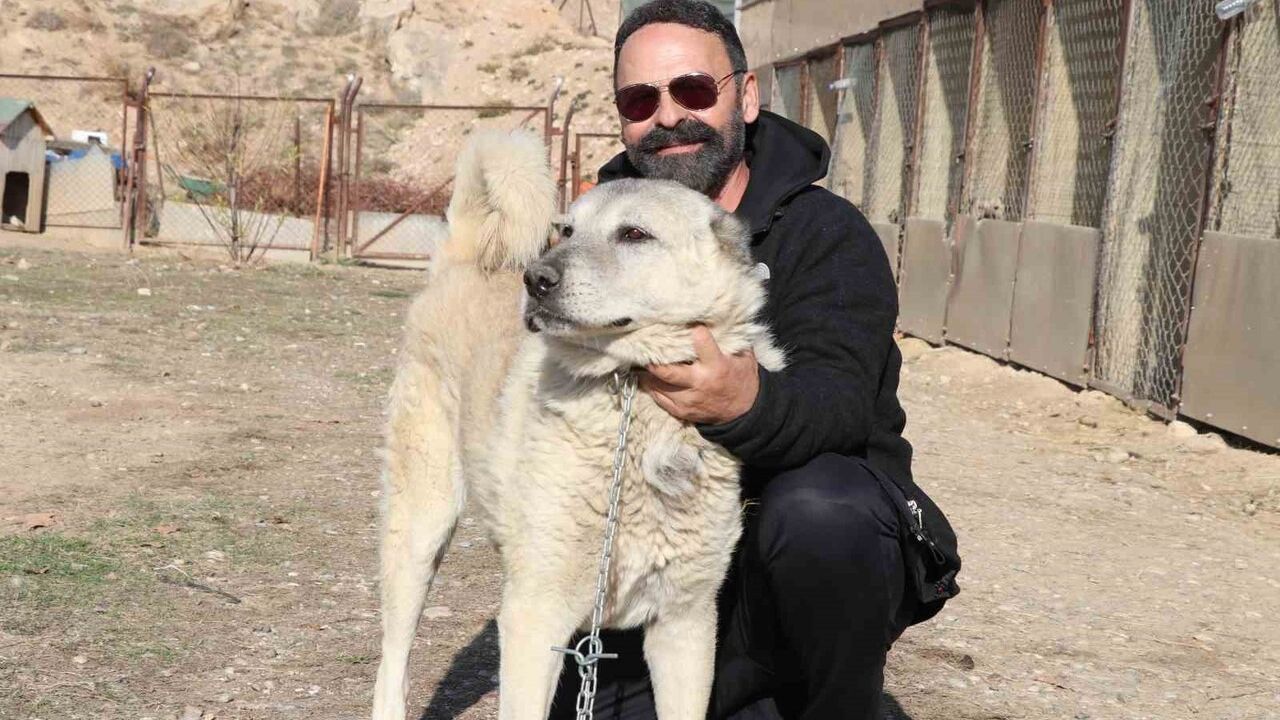 Kurtların Yerleşim Yerlerine Yaklaşması: Uzmanlardan Önemli Uyarılar