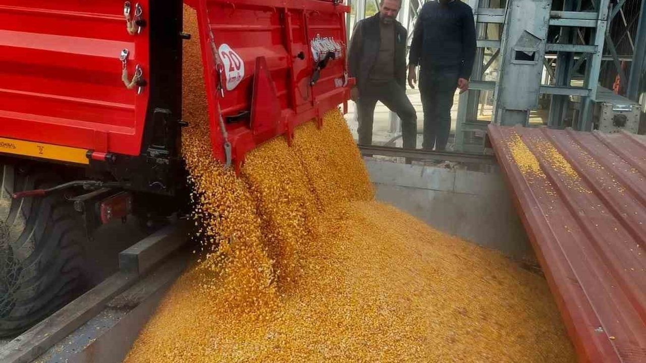 Kuzka Desteğiyle Çiftçilere Modern Mısır Kurutma Tesisi