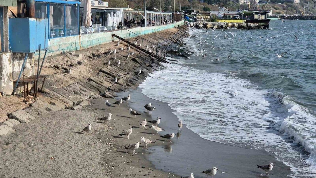 Lodos Fırtınası Tekirdağ Balıkçılarını Limana Sıktı