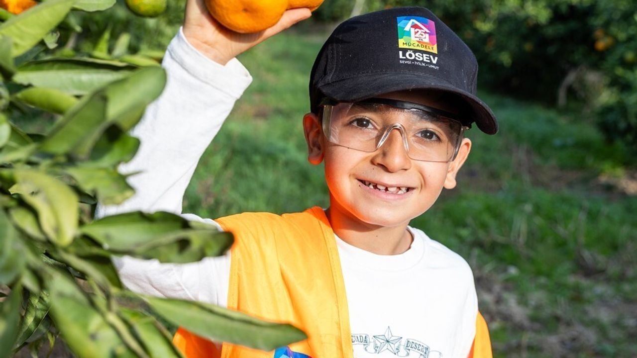 Lösemili Çocuklara Umut Olmak İçin Mandalina Hasadı