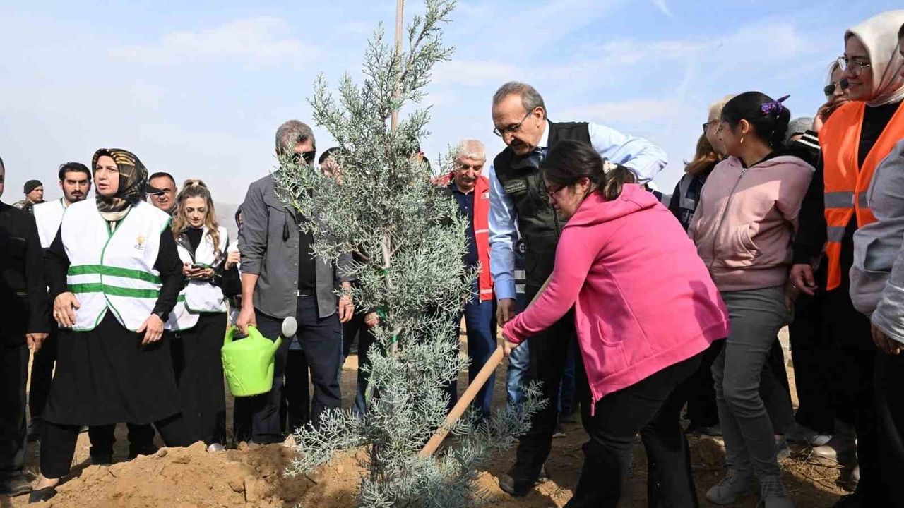 Malatya'da 733 Bin Fidan Dikildi