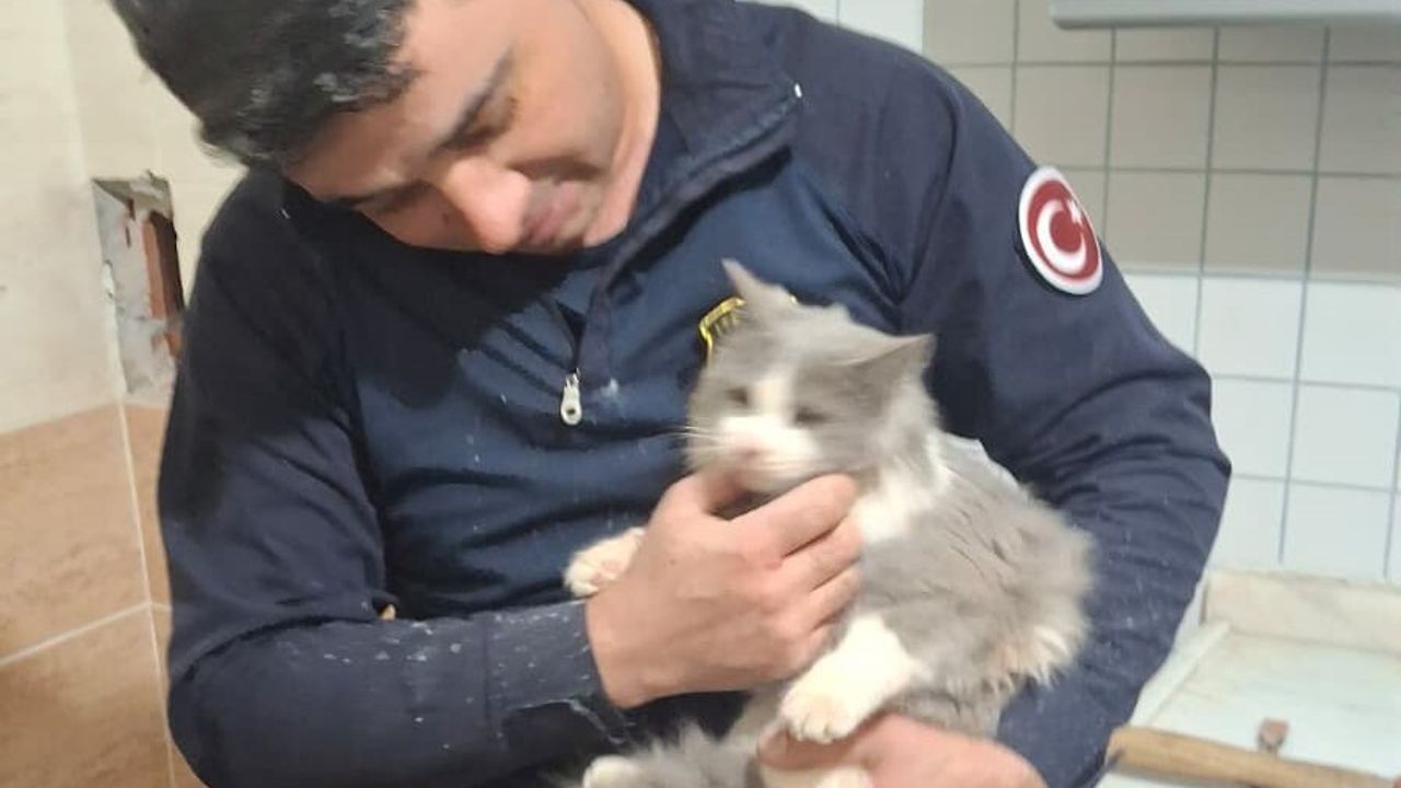 Malatya'da Havalandırma Boşluğuna Düşen Kedi Başarıyla Kurtarıldı