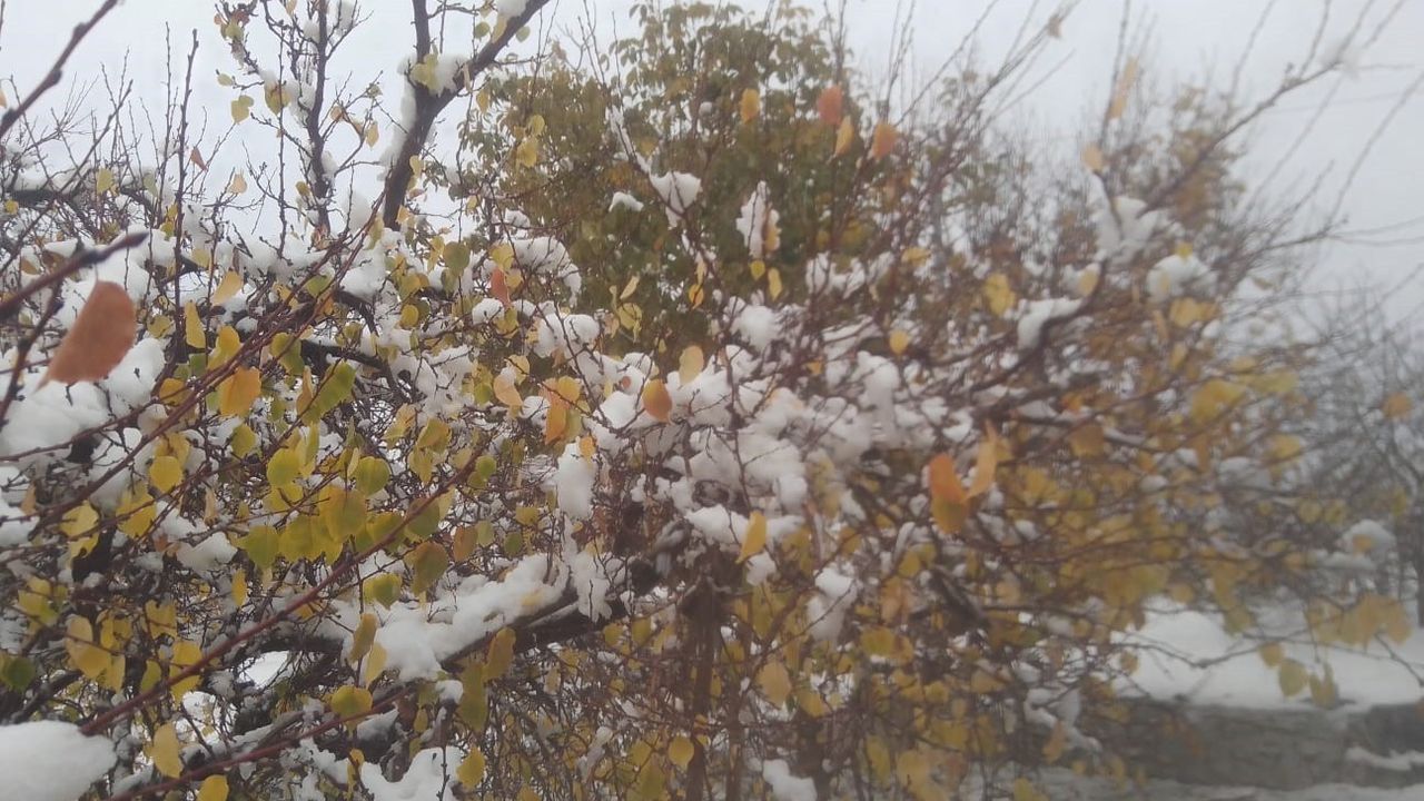 Malatya'da Yağışlar Devam Ediyor