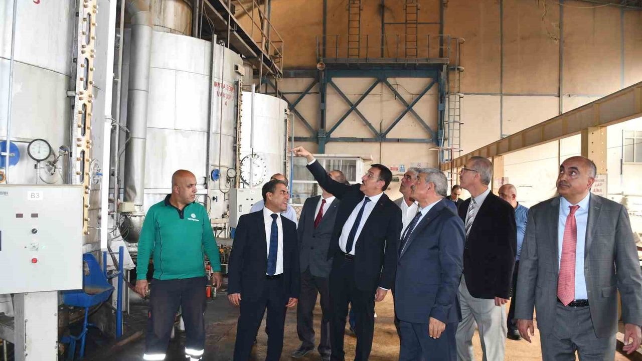 Malatya Şeker Fabrikası'nın Ekonomik Önemi