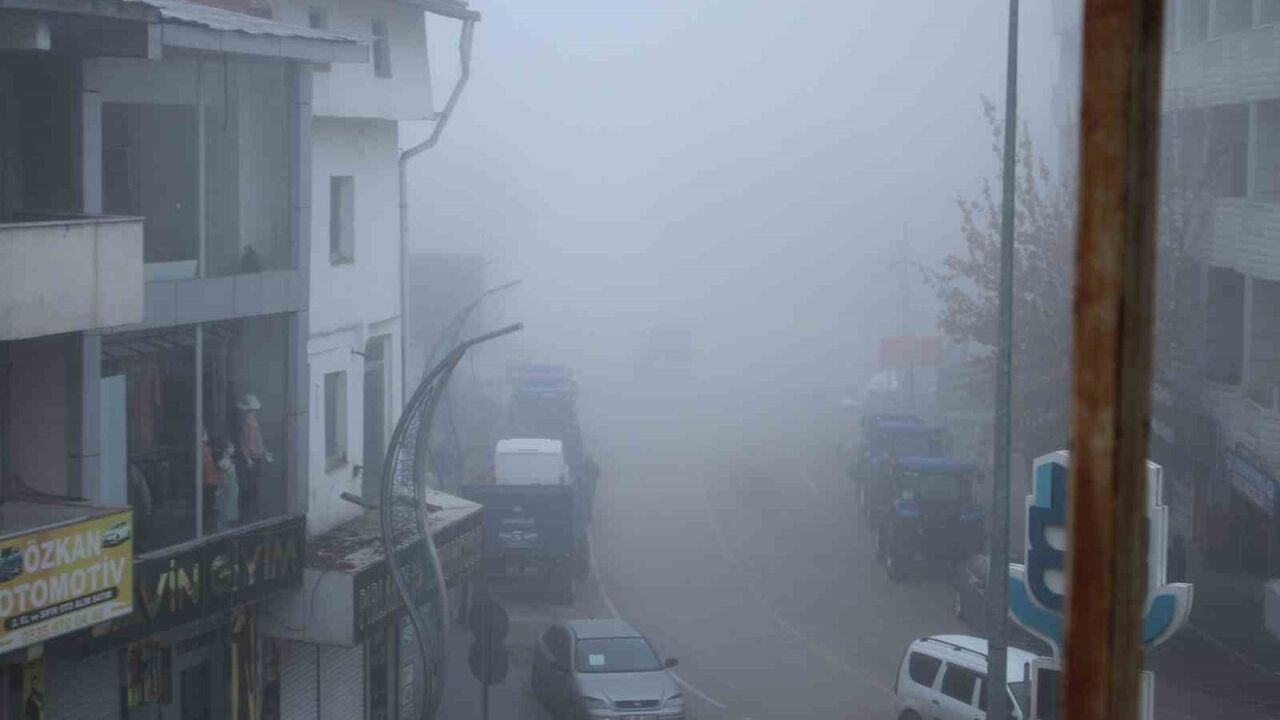 Malazgirt'te Yoğun Sis Günlük Yaşamı Olumsuz Etkiledi