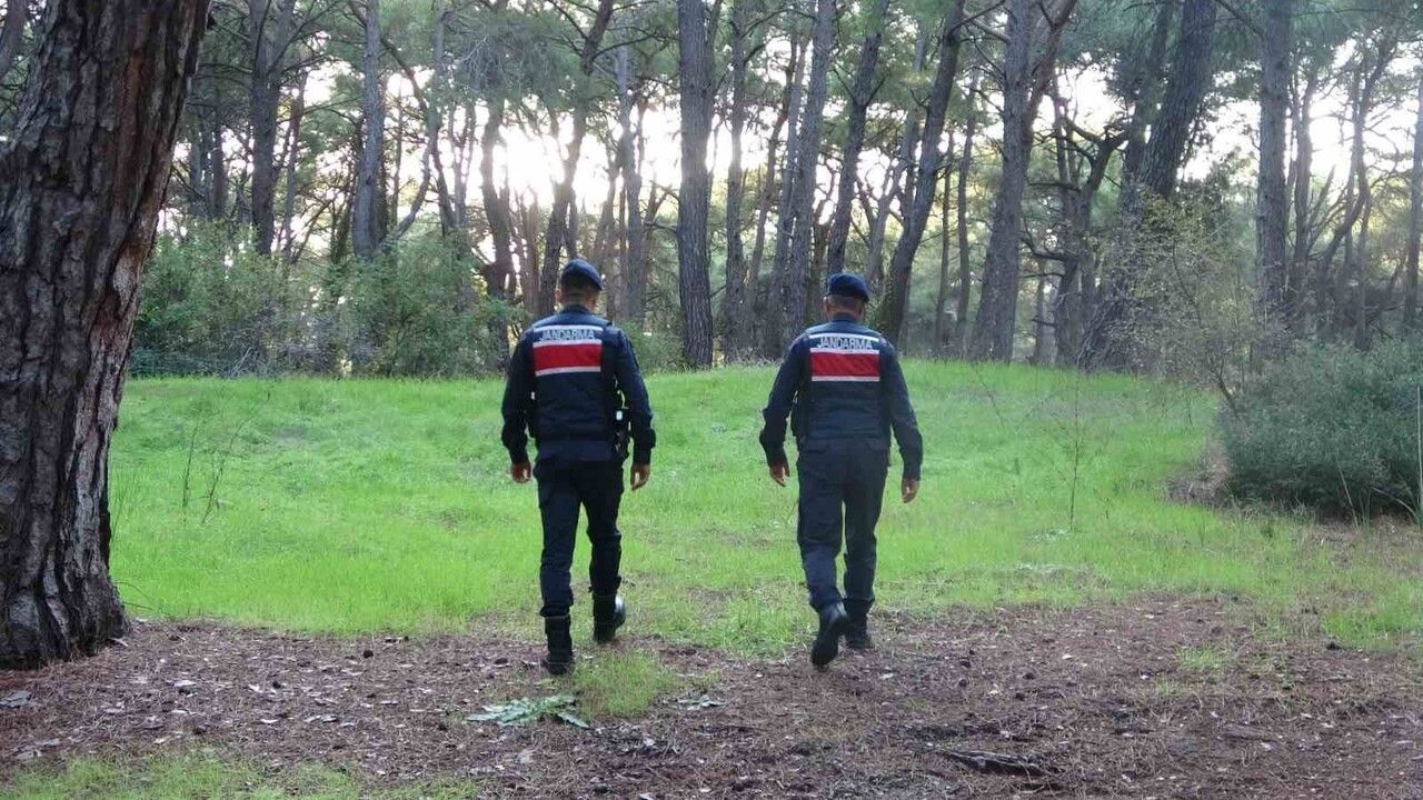 Manavgat'ta Orman Yangınlarının Önlenmesi İçin Jandarma Denetimleri Artıyor